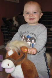 joey_horse.jpg