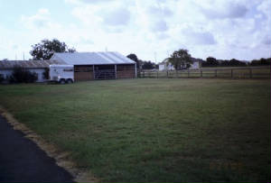 ring2.jpg